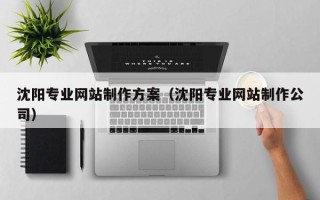 淮安沈阳专业网站制作方案（沈阳专业网站制作公司）